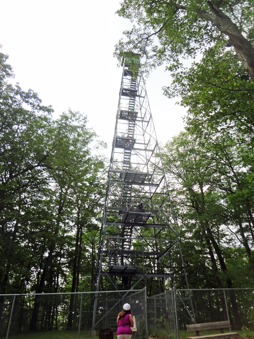 Karen Duquette looks up at the Aiton Heights Fire Tower in Itasca State Park